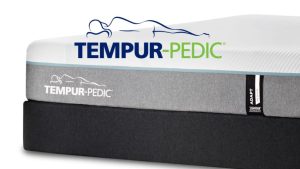 A omnis impedit quia